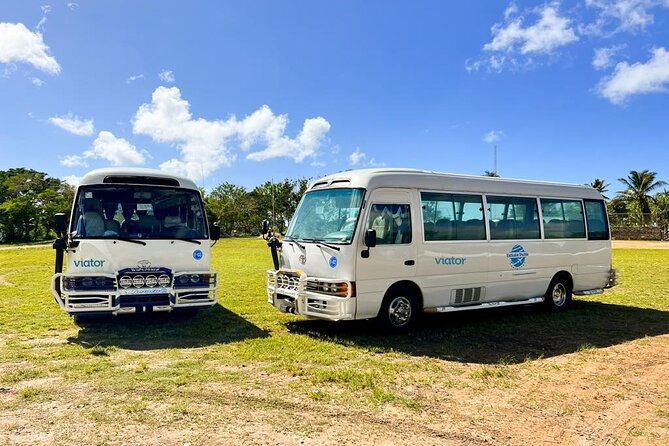 Punta Cana Airport Transfers -Private Discount on Roundtrip - Good To Know
