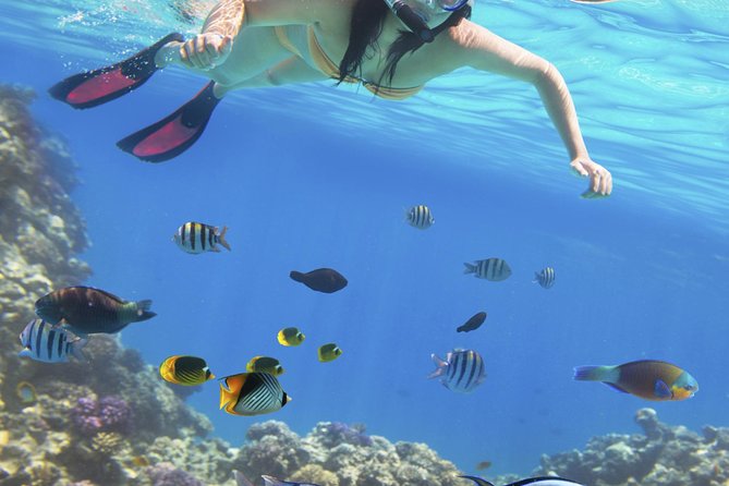 Punta Cana Day Trip: Catalina Island and Altos De Chavon - Itinerary Highlights