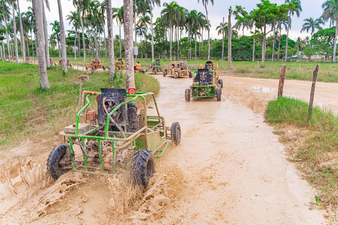 Punta Cana Dune Buggy Tour - Good To Know