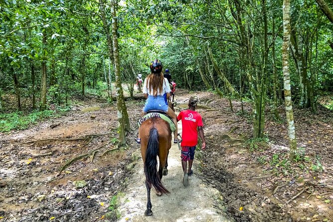 Punta Cana Guided Tour to Waterfall El Limon and Bacardi Island