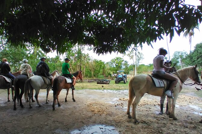 Punta Cana: Horse Riding, Zipline, Beach, Plantation Day Tour - Tour Highlights