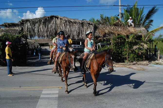 Punta Cana Horseback Riding on the Beach - Good To Know