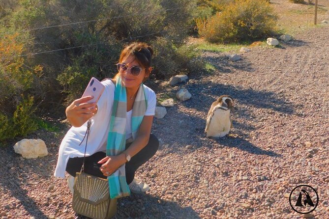 Punta Tombo With Puerto Madryn Shore Excursions Tours - Good To Know