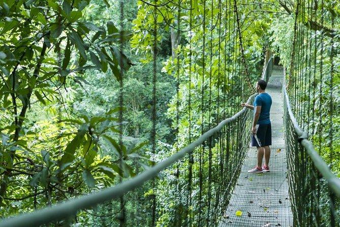 9 Best Shore Excursions In Puntarenas