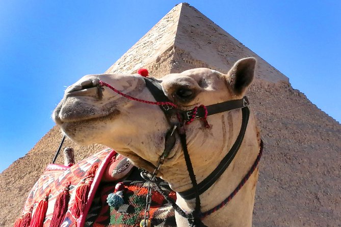 Pyramids of Giza & Saqqara Complex - History of the Pyramids