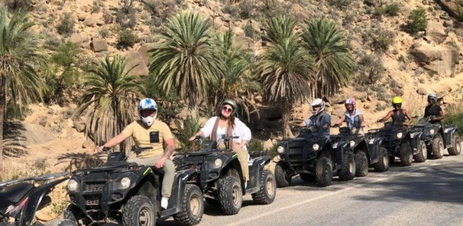 Quad Bike Adventure & Optional Traditional Hammam Relaxation