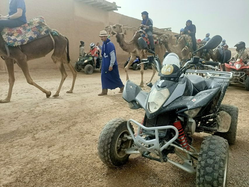 Quad Bike, Camel Ride & Hammam Massage - Good To Know