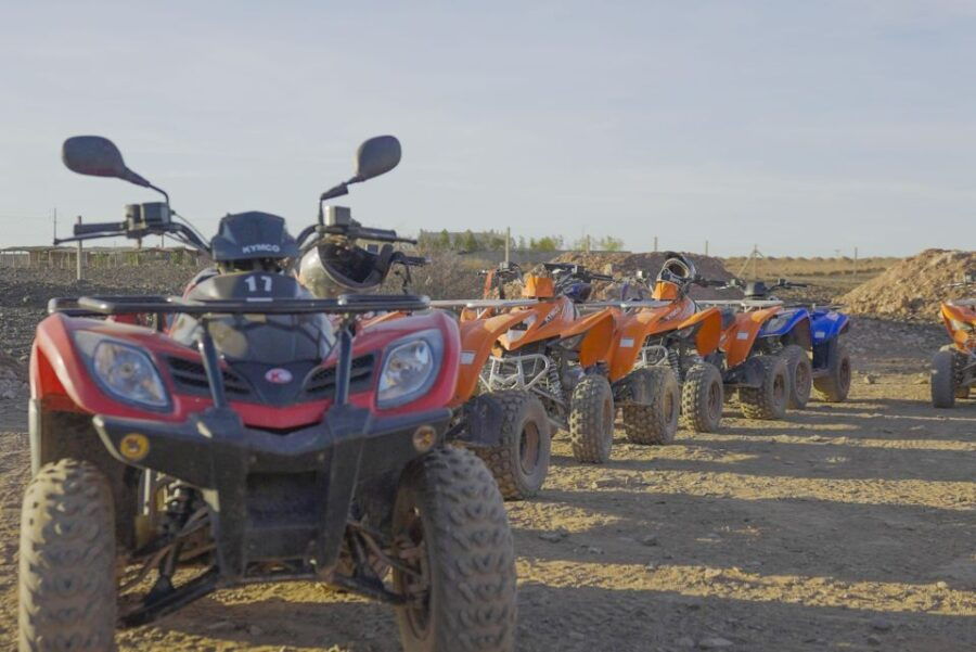 Quad Bike in the Desert & Dromedary Tour. Lunch or Dinner - Good To Know