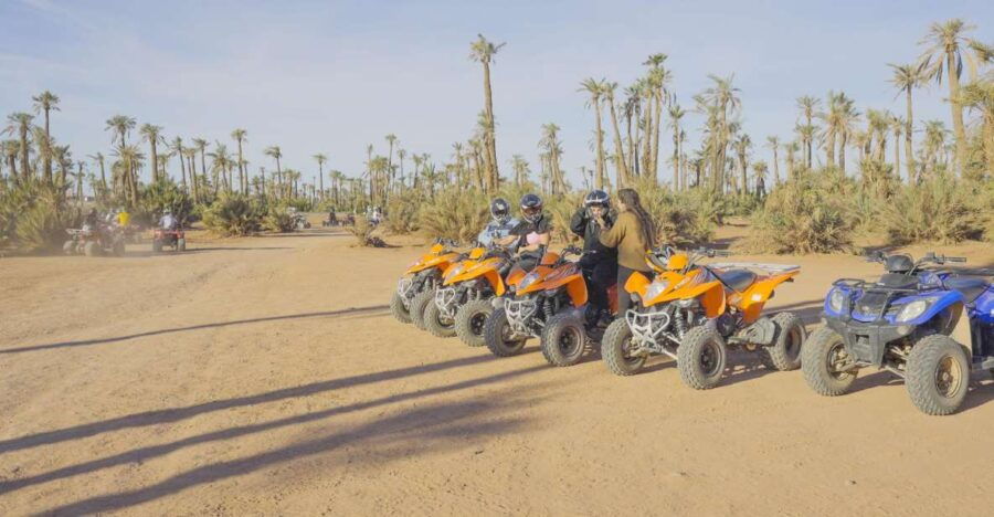 Quad Bike in the Desert & Dromedary Tour - Good To Know