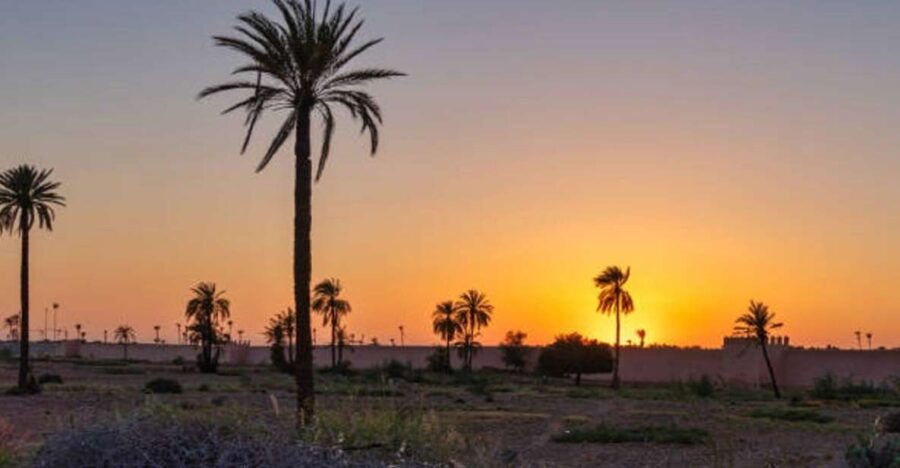 QUAD BIKING AND CAMEL HALF DAY TRIP IN MARRAKESH - Good To Know