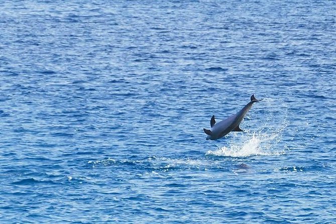 Quad Safari in the Canyon, Snorkeling at the Blue Hole and a Visit to Dahab - Experience Details