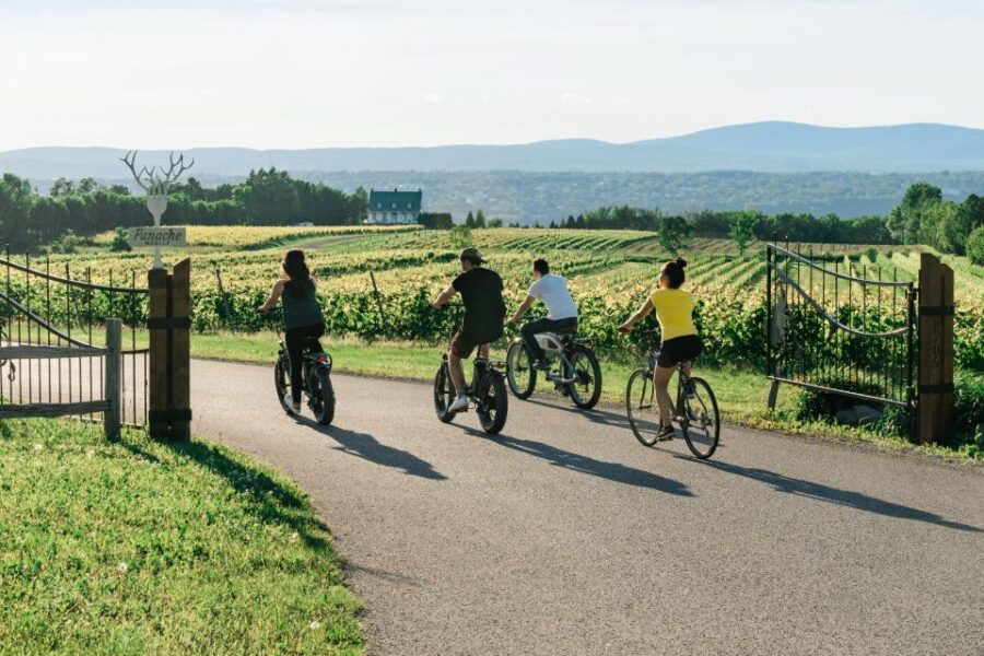 2 Best Bike Tours In Ile D Orleans