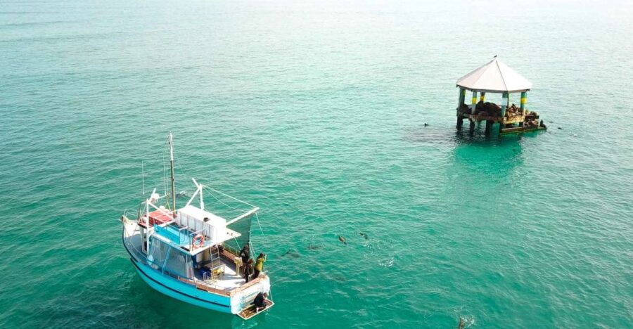 Queenscliff Harbour: 1.5hr Wildlife Sightseeing Tour - Good To Know