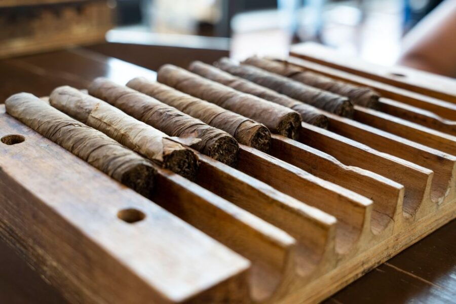 Querétaro: Cheese, Wine, and Tobacco Tour