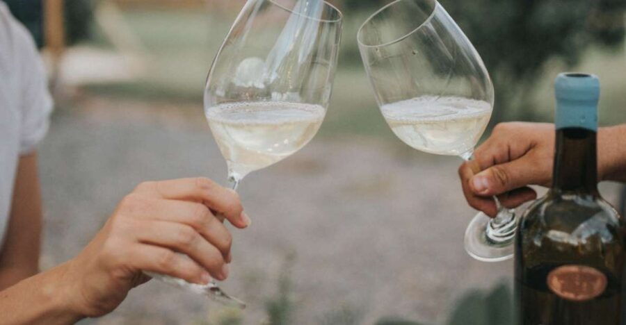 Querétaro: Rural Distillery Wine & Cider Tasting Tour - Good To Know