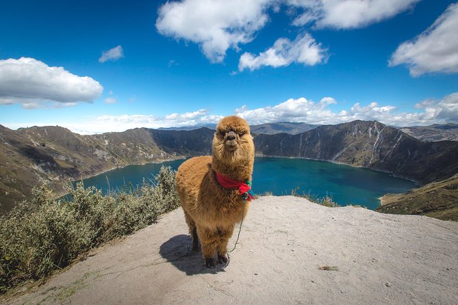 Quilotoa Lagoon and Indian Markets in One Day From Quito - Good To Know