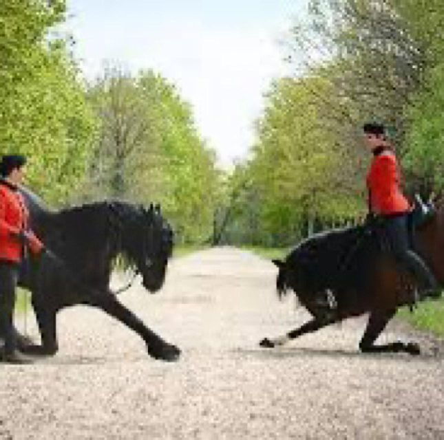 Quimper Outdoor Riding