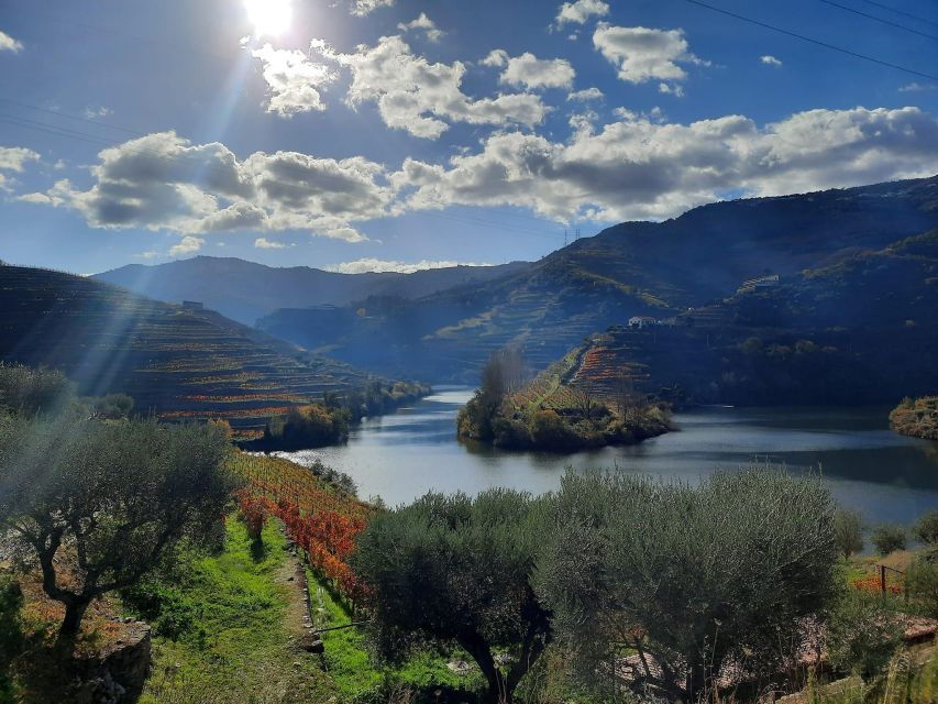 Quinta Do Tedo: Gourmet Tasting - Location Information