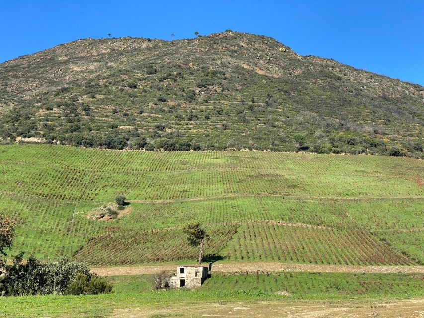Quinta Dos Murças: Train, Walking, Lunch and Wine Tasting - Good To Know