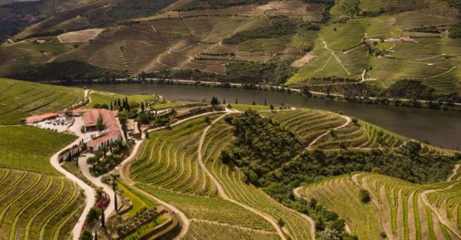 Quinta Nova: Douro Icon Tasting With Guided Tour