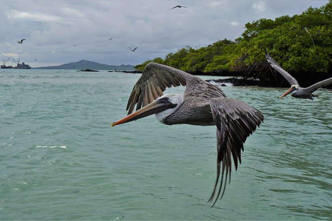 Quito, Ecuador 6-Night Land-Based Galapagos Islands Adventure (Feb ) - Accommodation and Meals Included