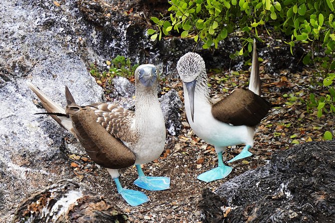 Quito, Ecuador 9-Night Galapagos Islands Multisport Tour - Itinerary Details