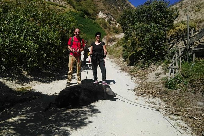 Quito, Ecuador Private 7-Night Active Highlights Tour (Feb ) - Good To Know