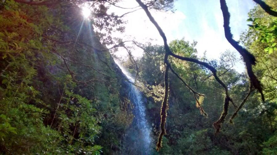 Rabaçal: Lagoa Do Vento, Levada Risco and Levada 25 Fontes - Good To Know