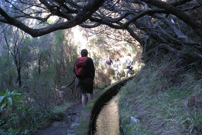 Rabacal Small-Group Half-Day Levada Walk - Madeira - Good To Know