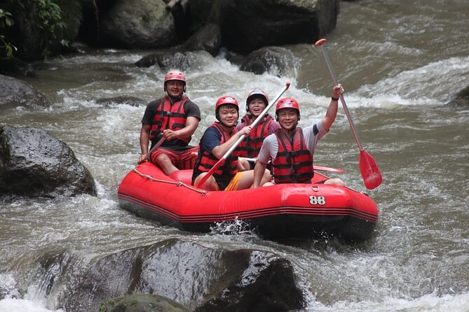 Rafting at Ayung River(Include Return Hotel Transportation) - Good To Know