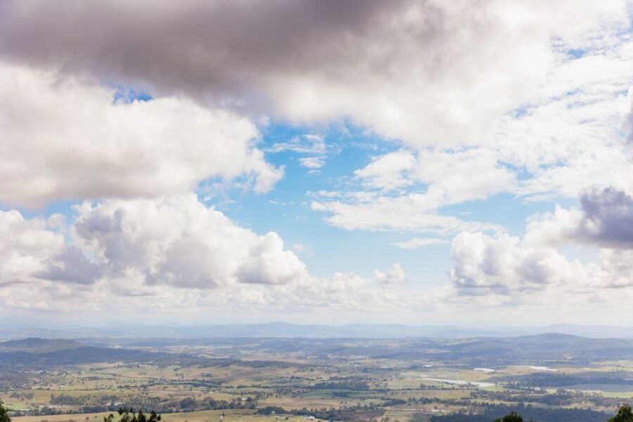 Rainforests and Glow Worm Cave: Day Tour From Brisbane