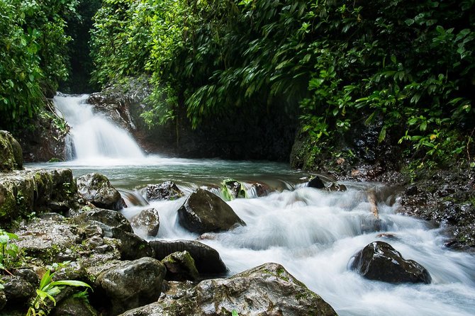 Rainmaker Park Hanging Bridges & Waterfalls Tour With Jade Tours - Good To Know
