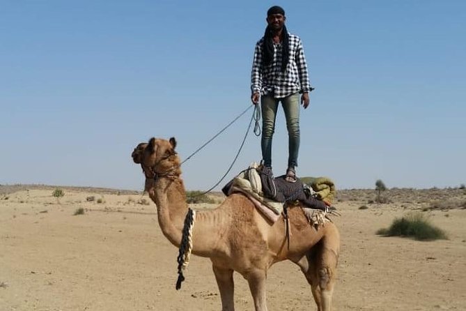Rajs Overnight Non-Touristic Camel Safaris Jaisalmer