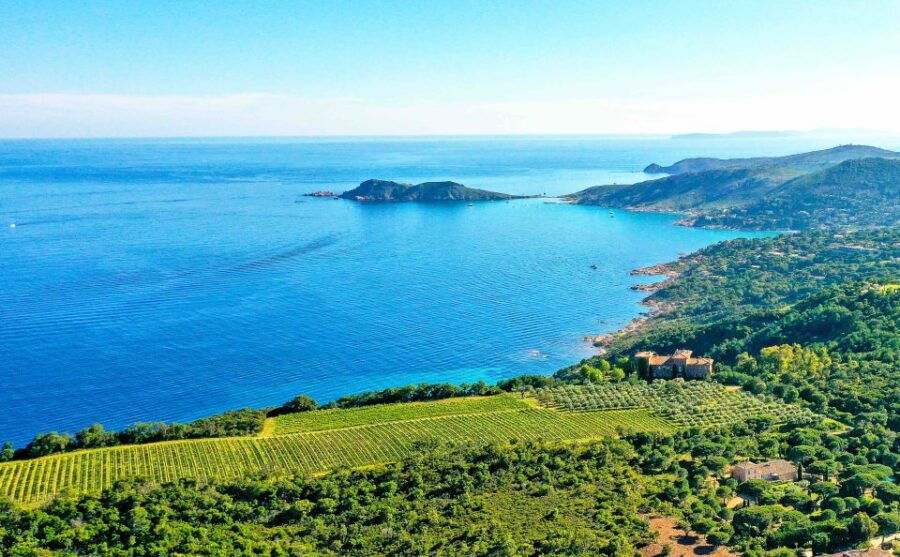 Ramatuelle: Tracks & Tasting Winery Tour by Mountain E-Bike