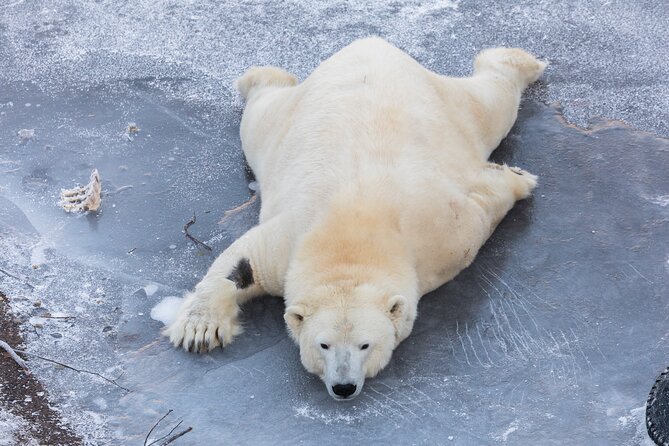 Ranua WildLife Zoo Park