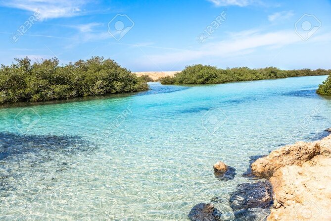 Ras Mohamed and White Island Snorkeling Trip and One Stop Diving-Sharm El Shiekh