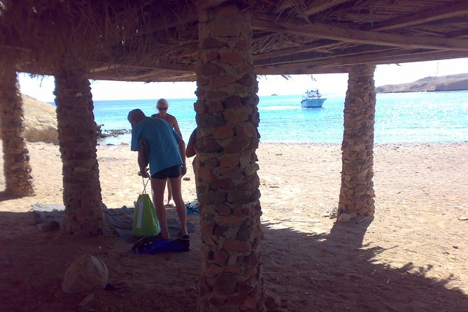 Ras Mohamed by Bus From Sharm Elsheikh - What to Expect at Ras Mohamed National Park