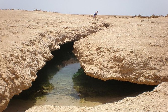 Ras Mohamed National Park Half Day Bus Trip From Sharm El Sheikh - Good To Know