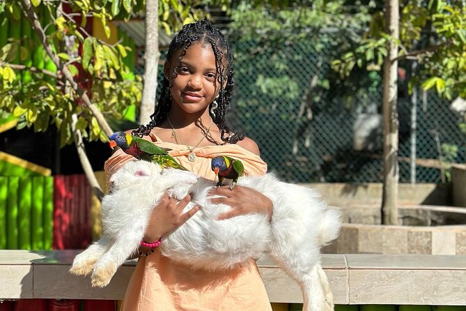 Rastafari Cultural Experience & Animal Farm Tour In Montego Bay - Good To Know