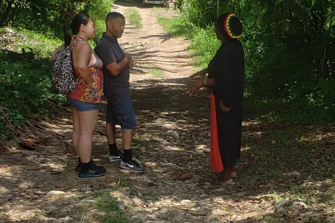 Rastafari Indigenous Village Tour - Tour Pricing and Booking Details