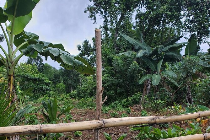 Rastasafari Adventure Tour - Tour Highlights