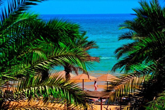 Red Sea Beach Day With Lunch, Pool, and Private Transfers - Giza - Trip Details