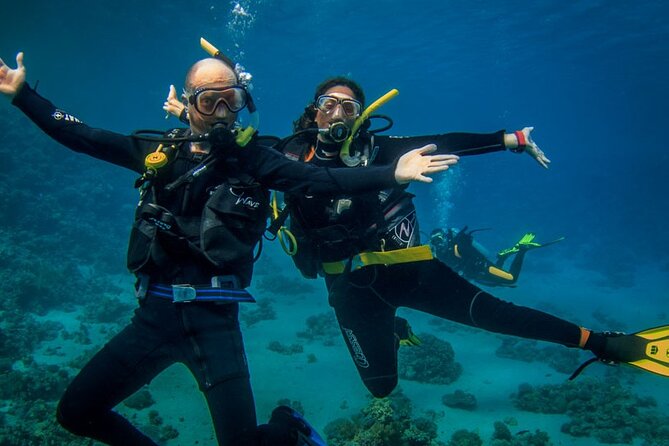 Red Sea Beginners Scuba Dive Tour With PADI Guide (Feb )