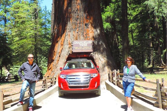 3 Best Tours In Santa Rosa