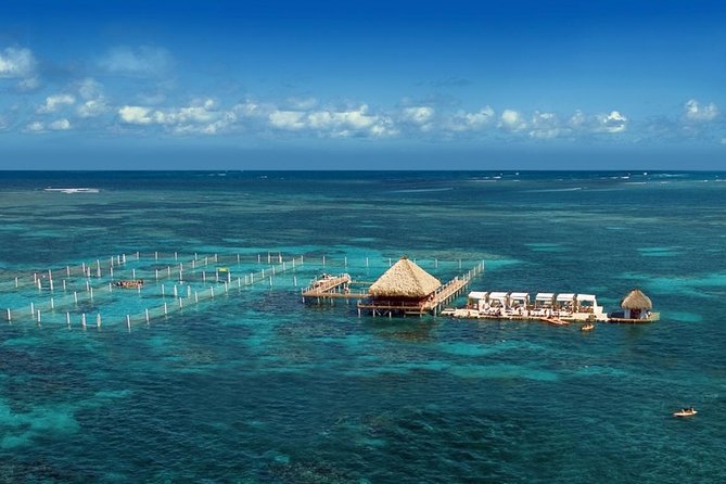 Reef Explorer Half Day Trip - Good To Know