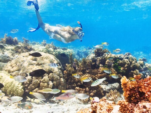 Reef Explorer Multiple Activity Excursion From Punta Cana by Marinarium - Good To Know