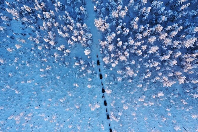 REINDEER FARM VISIT a Real Authentic Experience - Good To Know