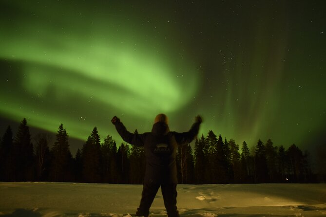 Reindeer Sleigh Ride Across the Night in Apukka Resort Rovaniemi - Good To Know