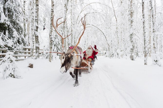 Reindeer Sleigh Ride and Farm Experience From Rovaniemi - Good To Know