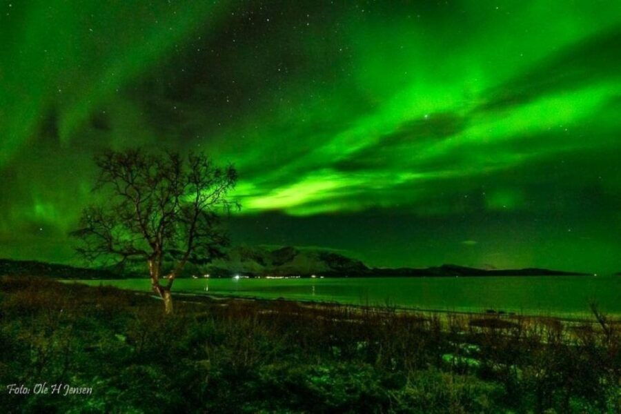 Reisafjord: Northern Lights Hunting